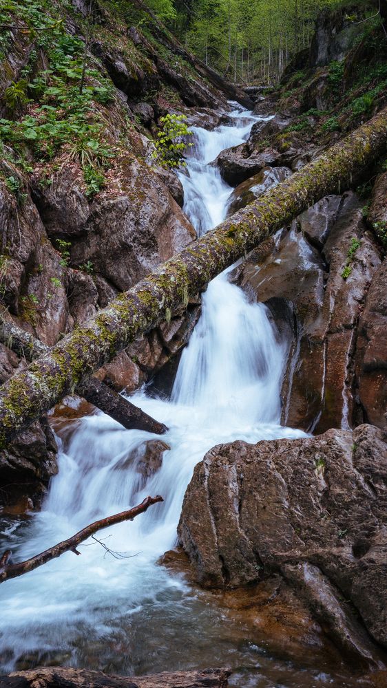 Photograph by Артур Шидаков