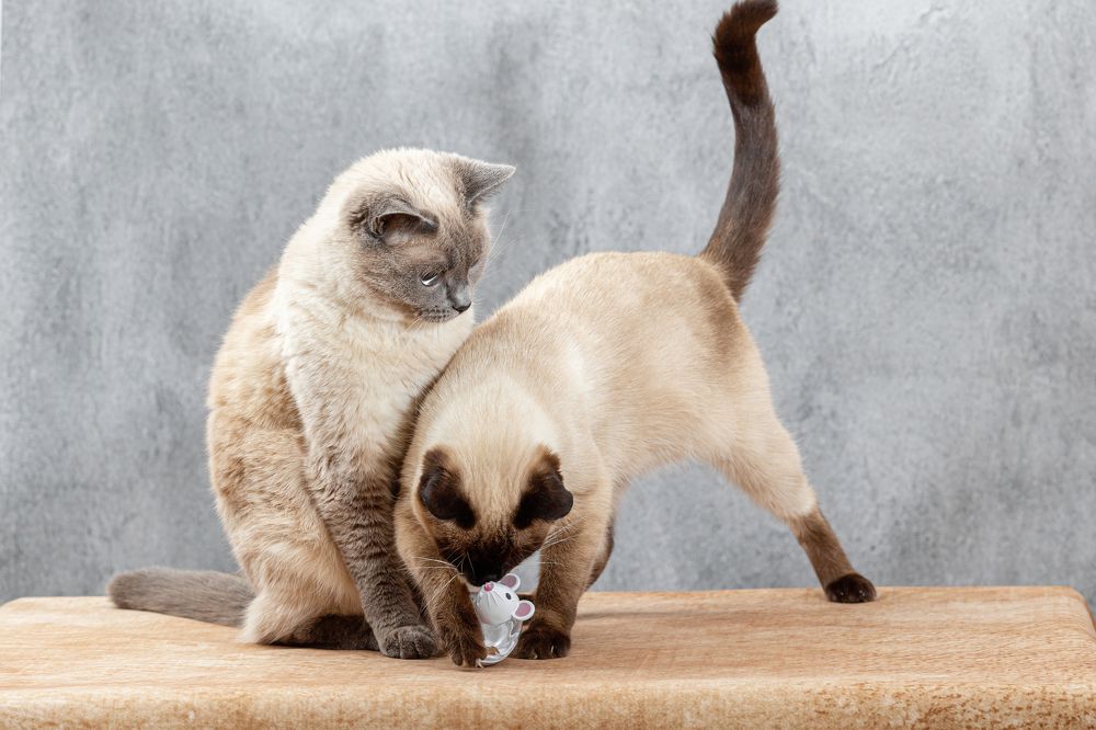 Photograph by Екатерина Коломеец