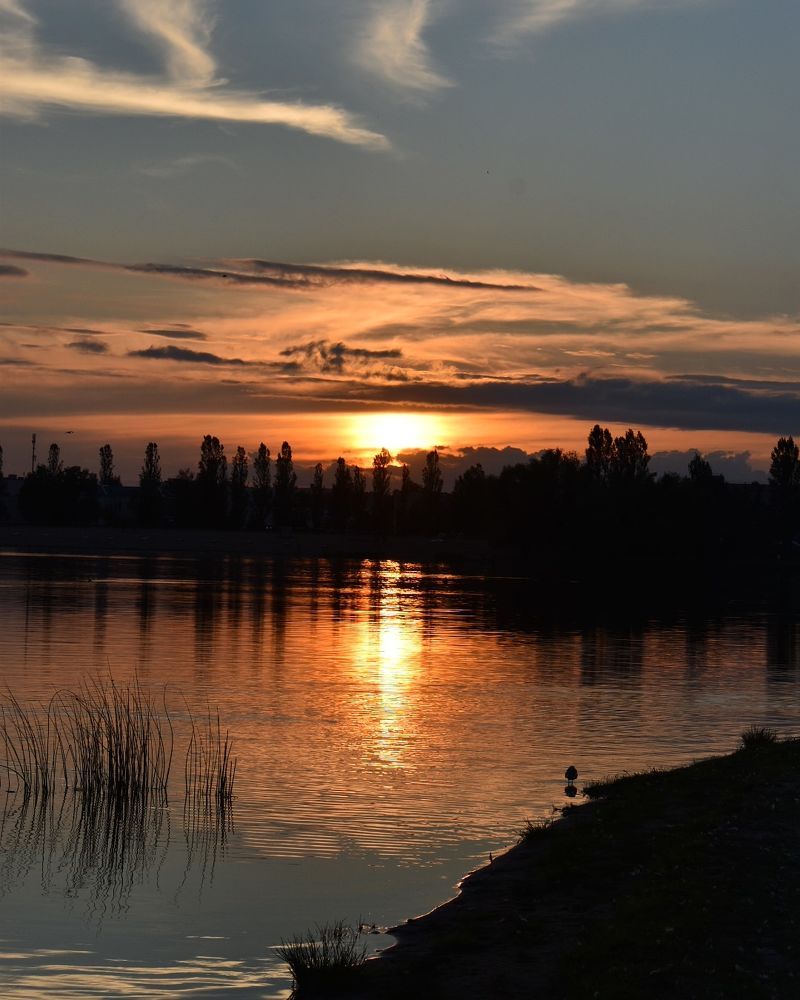 Photograph by Михаил Бородкин