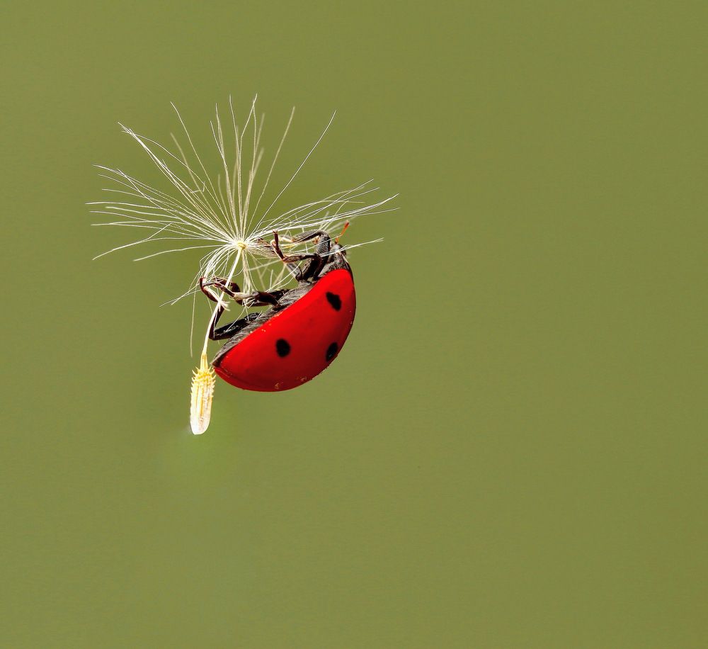 Photograph by Роман Турсков