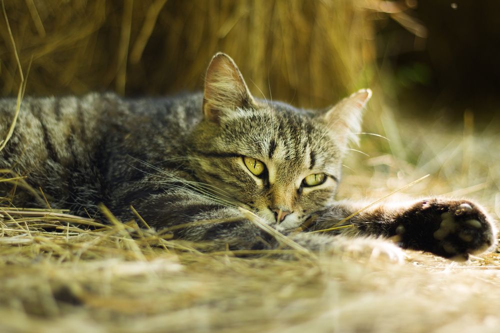 Photograph by Анна Фурса