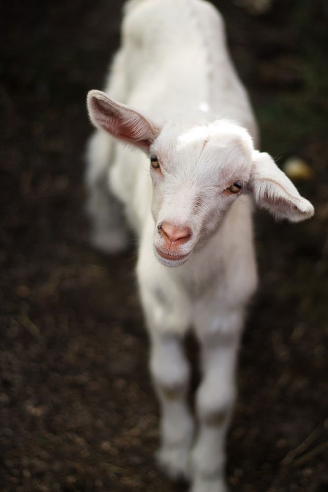 Photograph by Анна Фурса