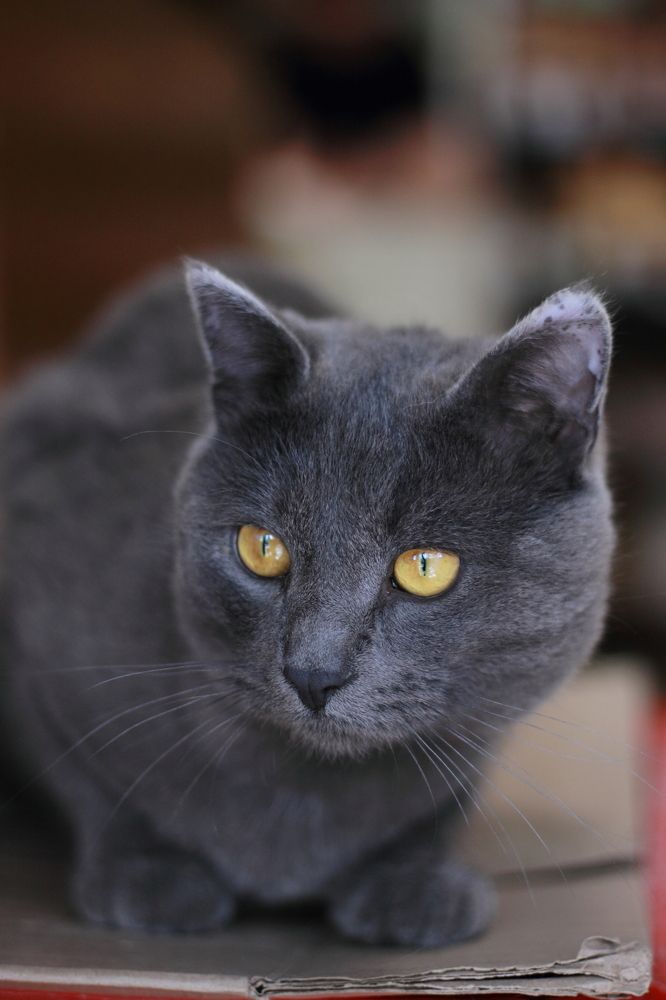 Photograph by Варвара Якубчик