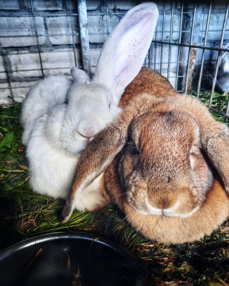 Photograph by Светлана Моисеева