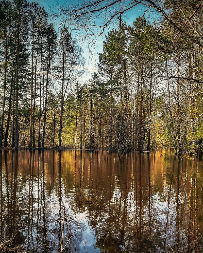 Photograph by Светлана Моисеева