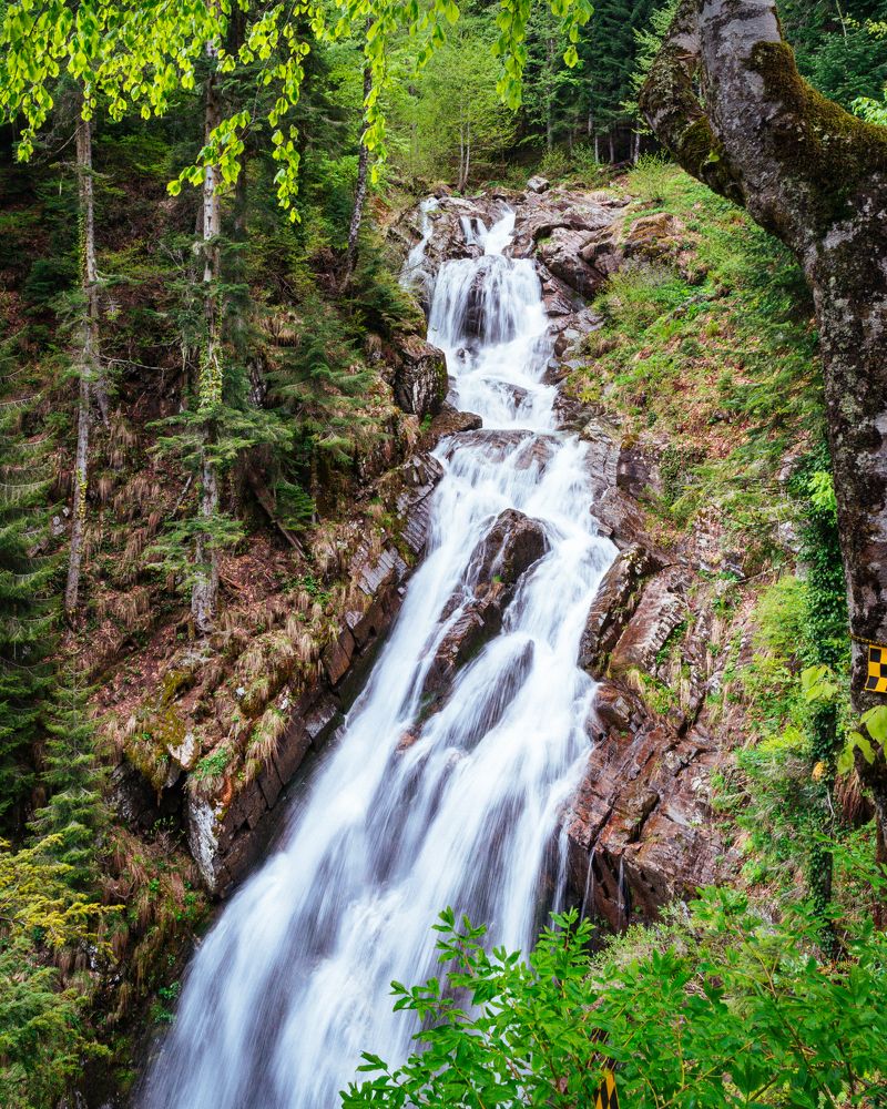 Photograph by Артур Шидаков