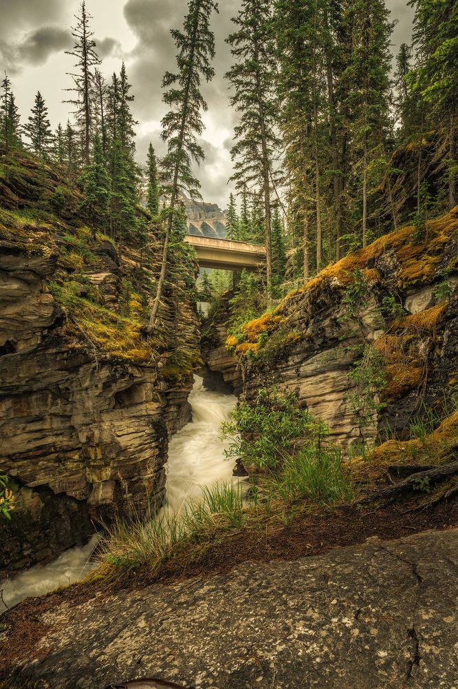 Photograph by Shawn Wells