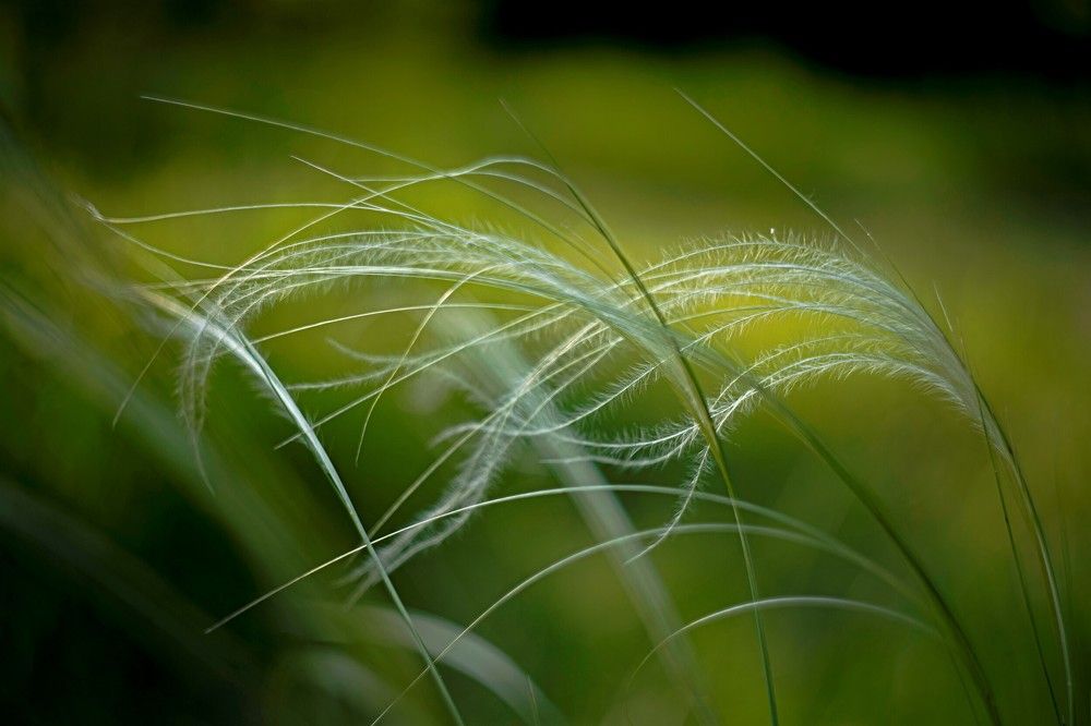 Photograph by Алексей Сиваков