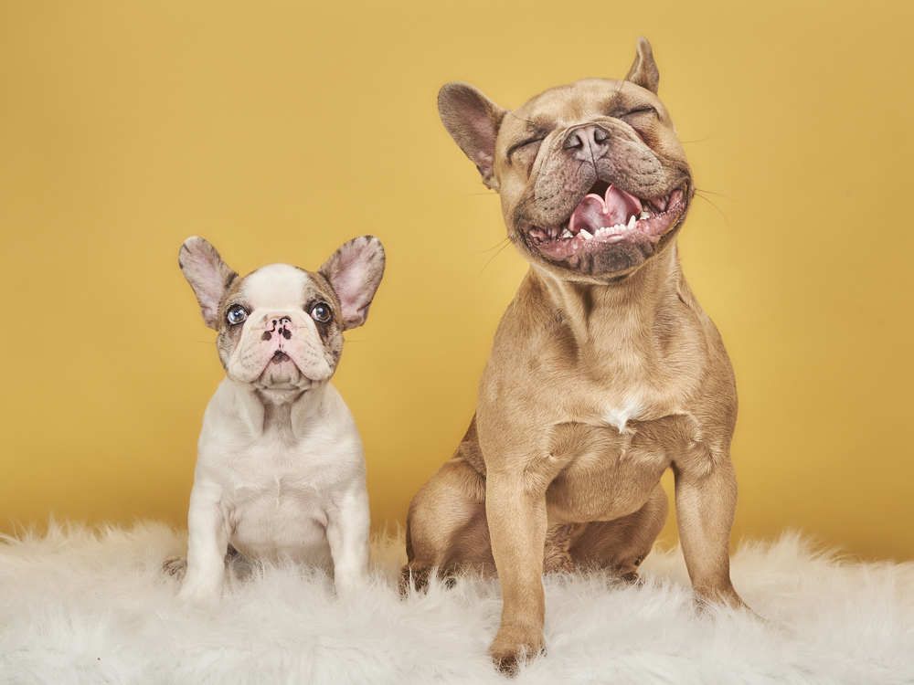 Photograph by David Zapata