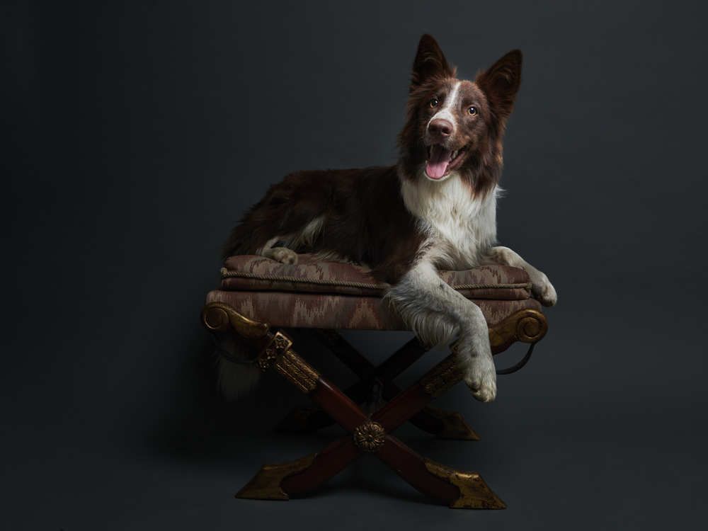 Photograph by David Zapata