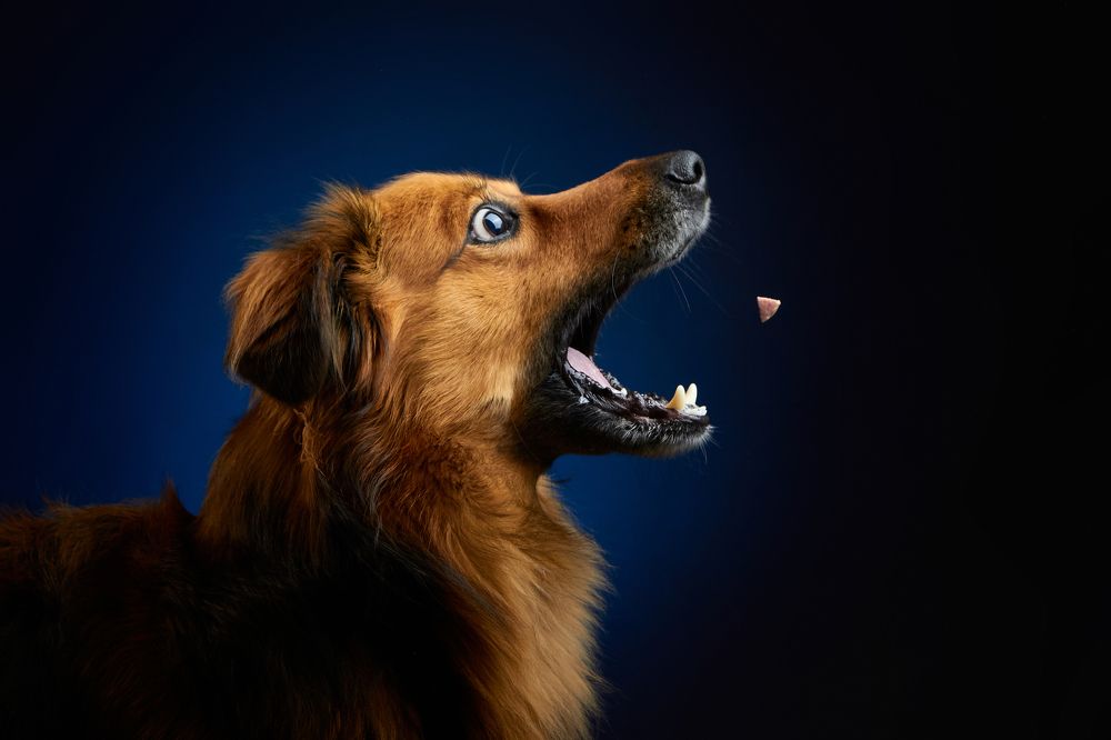 Photograph by Виктория Терентьева