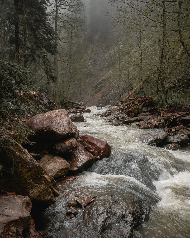 Photograph by Александр Битюков