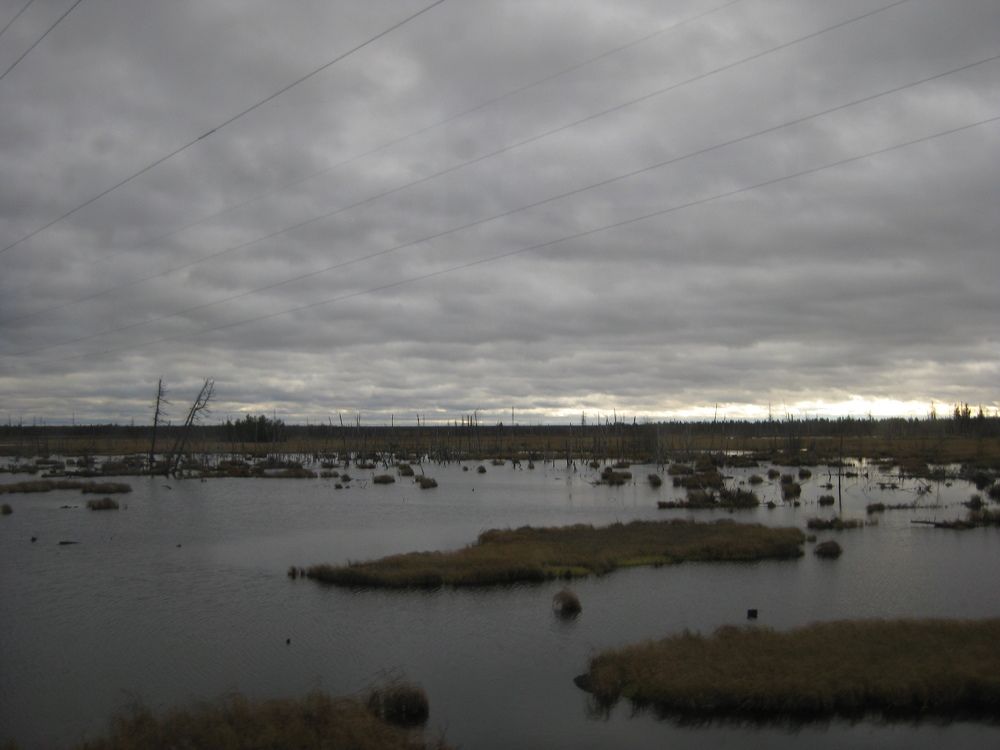 Photo #6179252