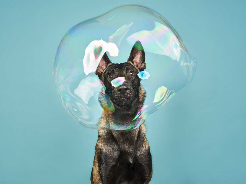 Photograph by David Zapata