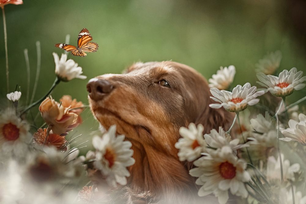 Photograph by Дарья Базарнова