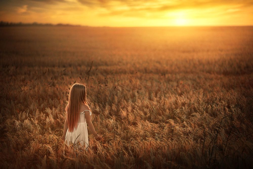 Фотография автора Анна Домбровская