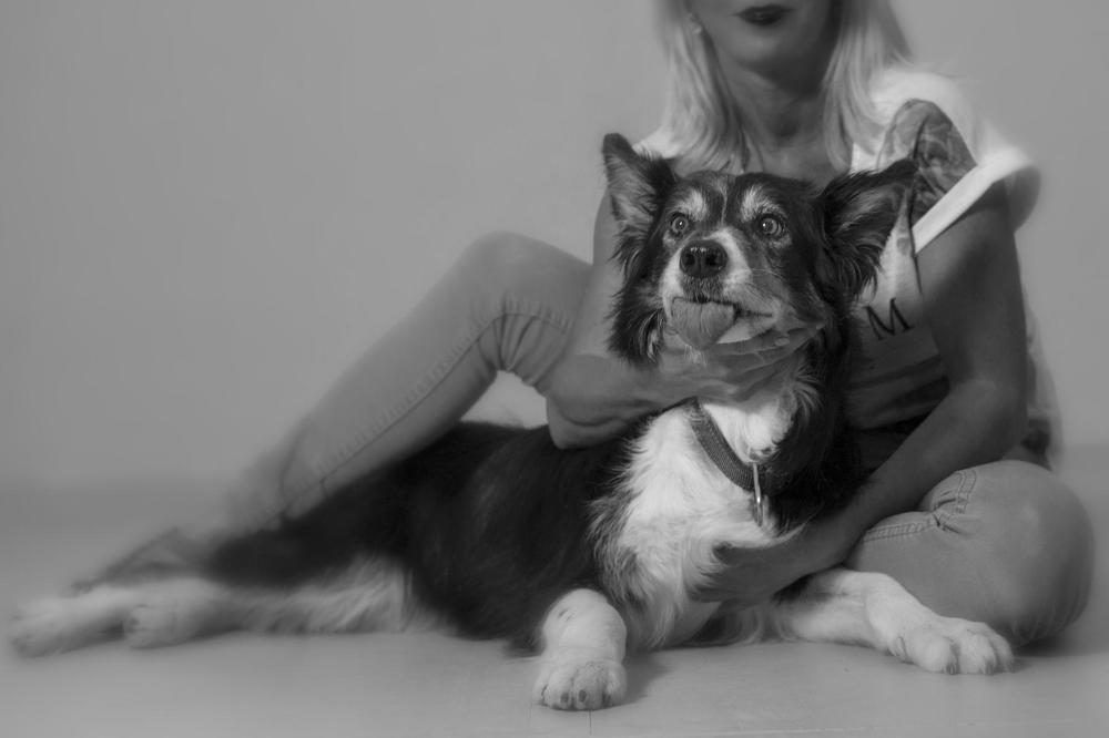 Mistress, don't ruin it