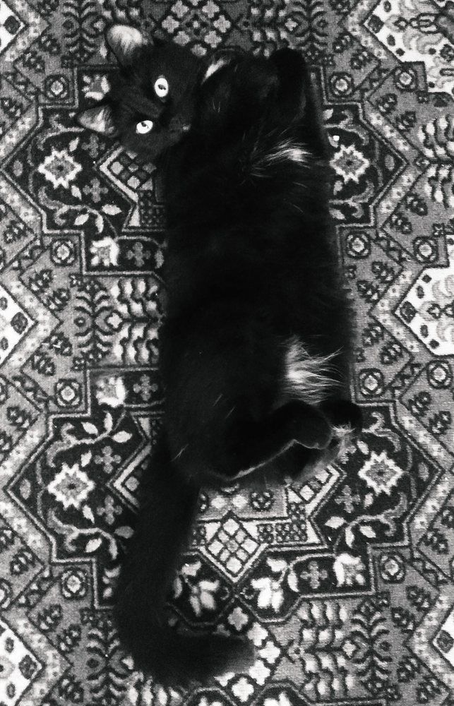 Photograph by Ольга Кондрашова