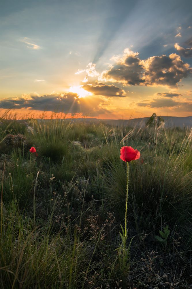 Photograph by Daniel Pérez