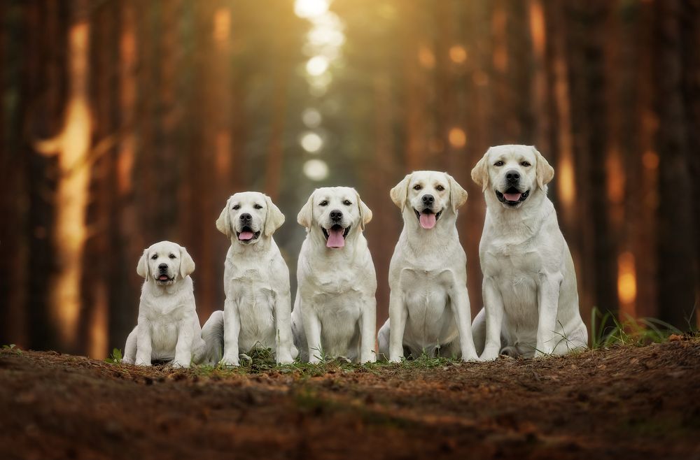 Photograph by Ольга Смирнова