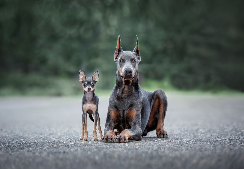 Photograph by Ольга Смирнова