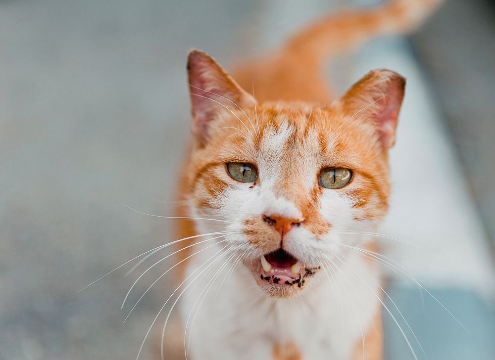 Photograph by Kamila Gurfinkel