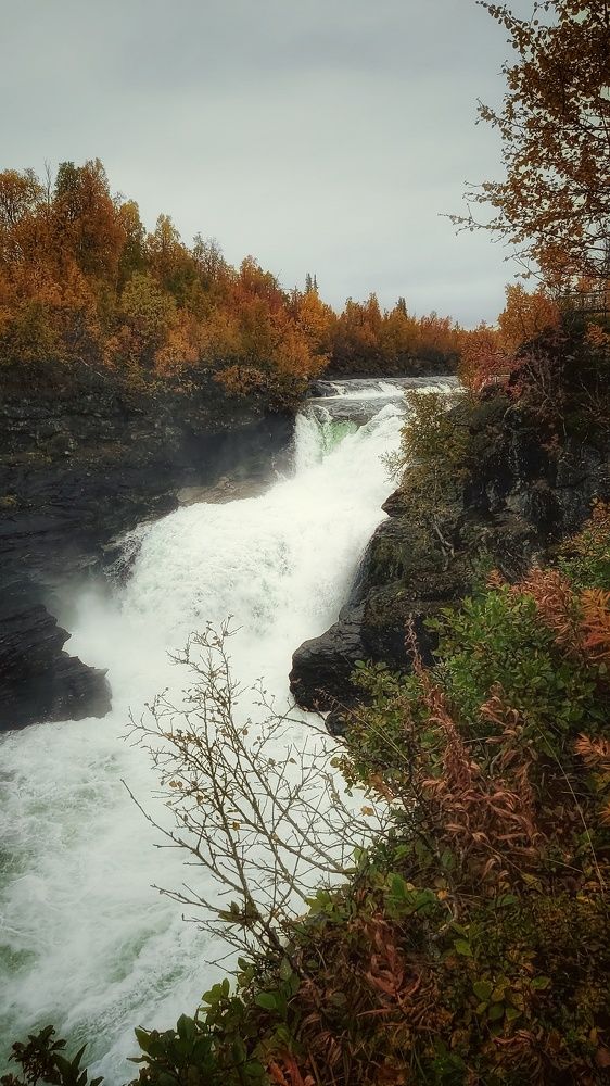 Photo #6179464