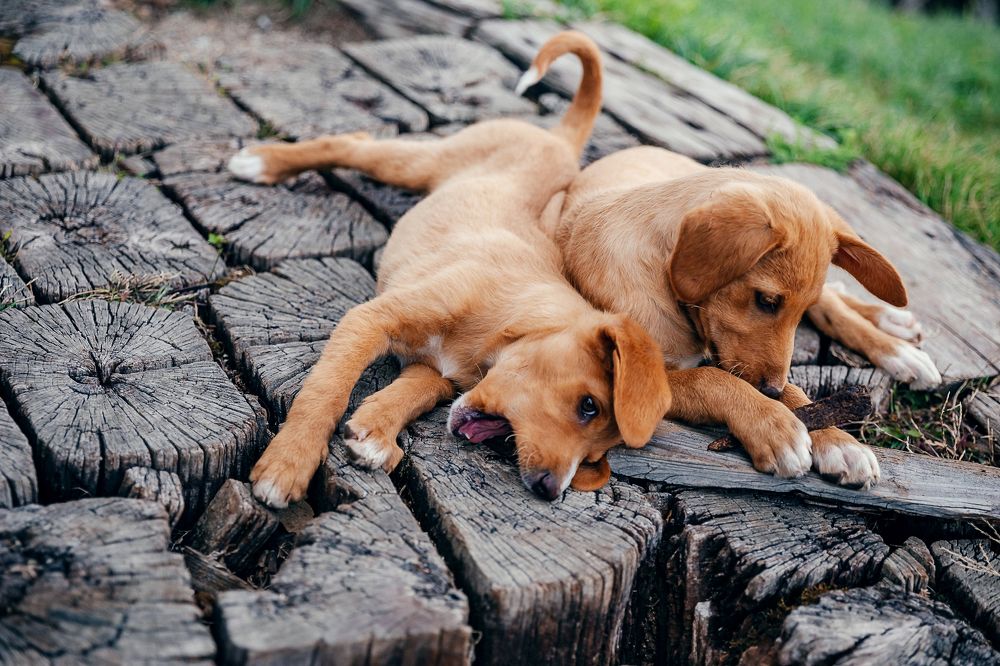 Photograph by Kamila Gurfinkel