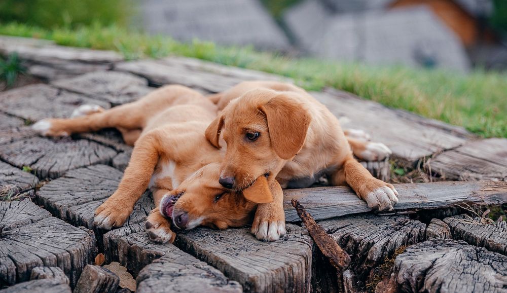 Photograph by Kamila Gurfinkel