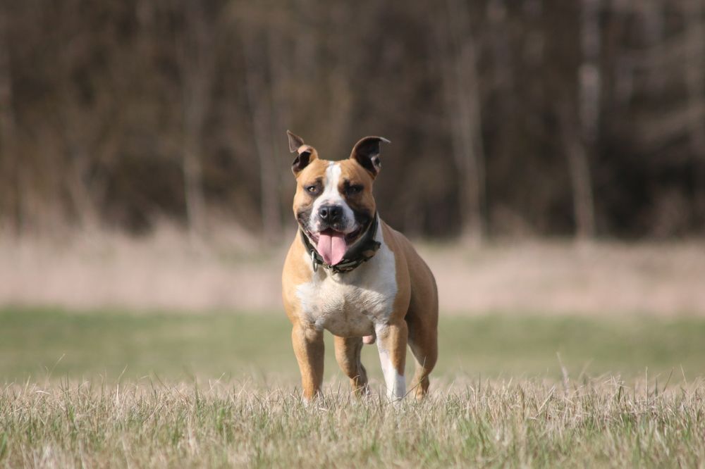 Photograph by Sára Regešová