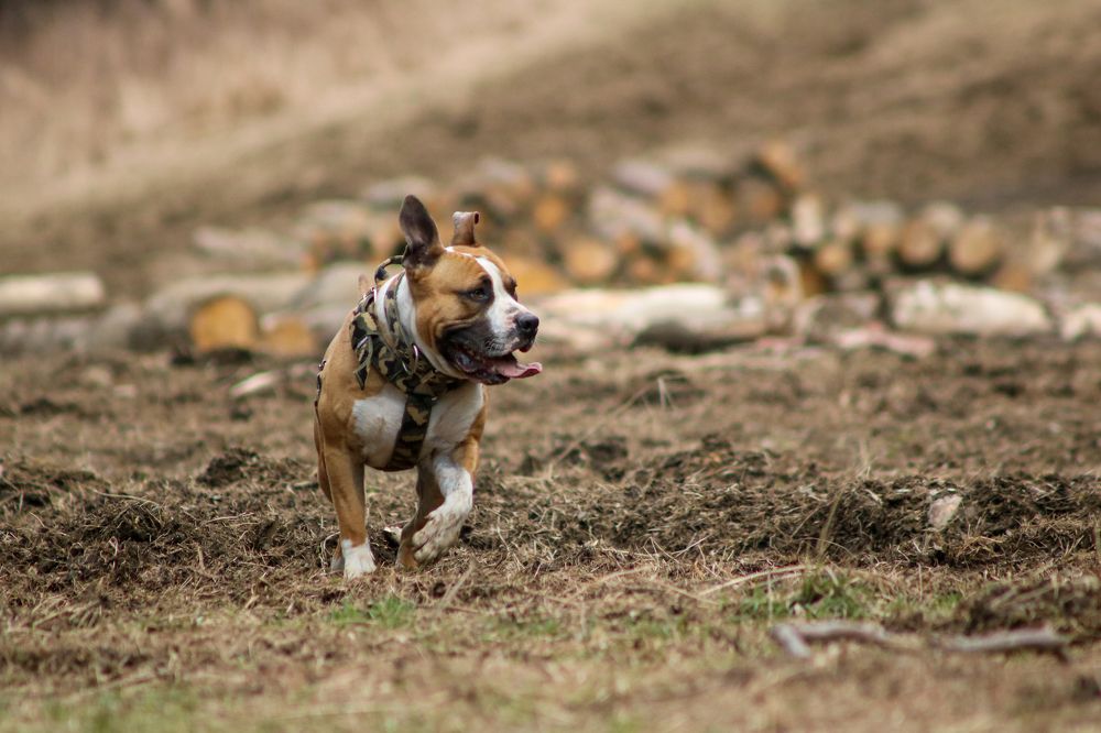 Photograph by Sára Regešová