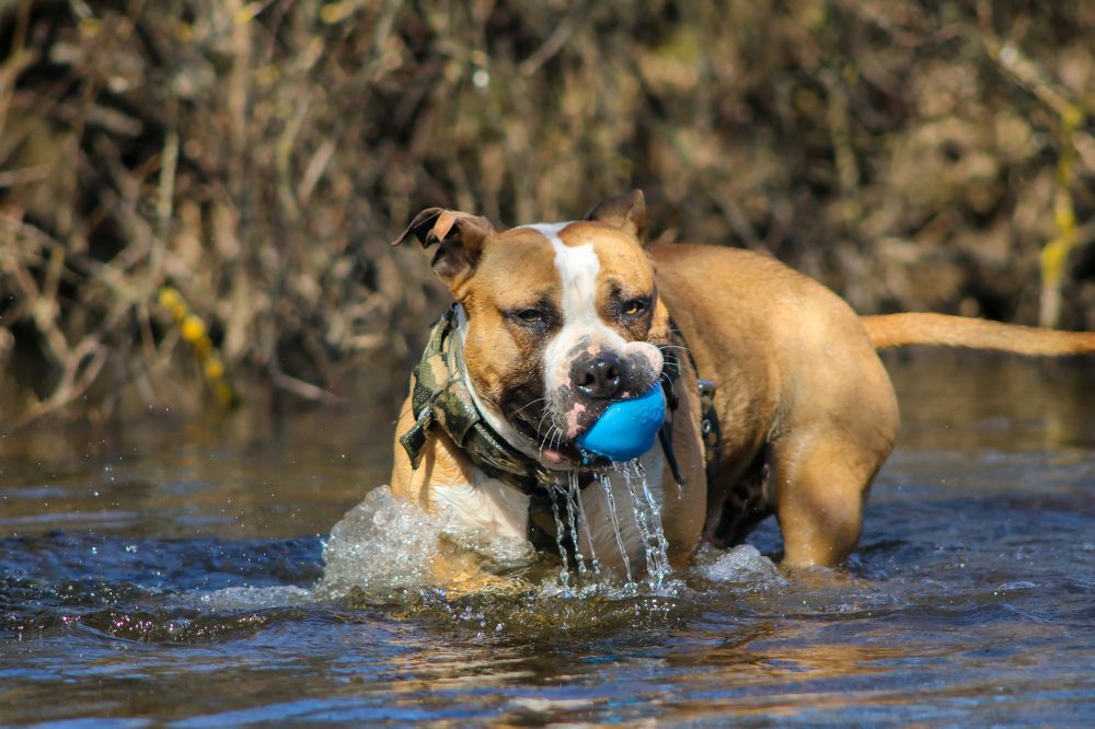 Photograph by Sára Regešová