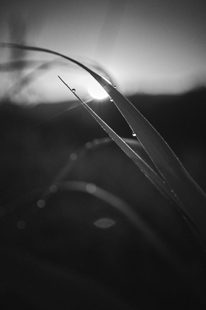 Photograph by Иван Кривец