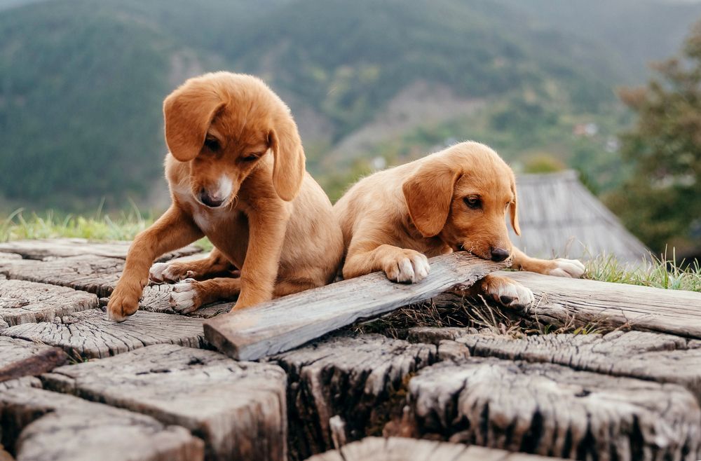 Photograph by Kamila Gurfinkel