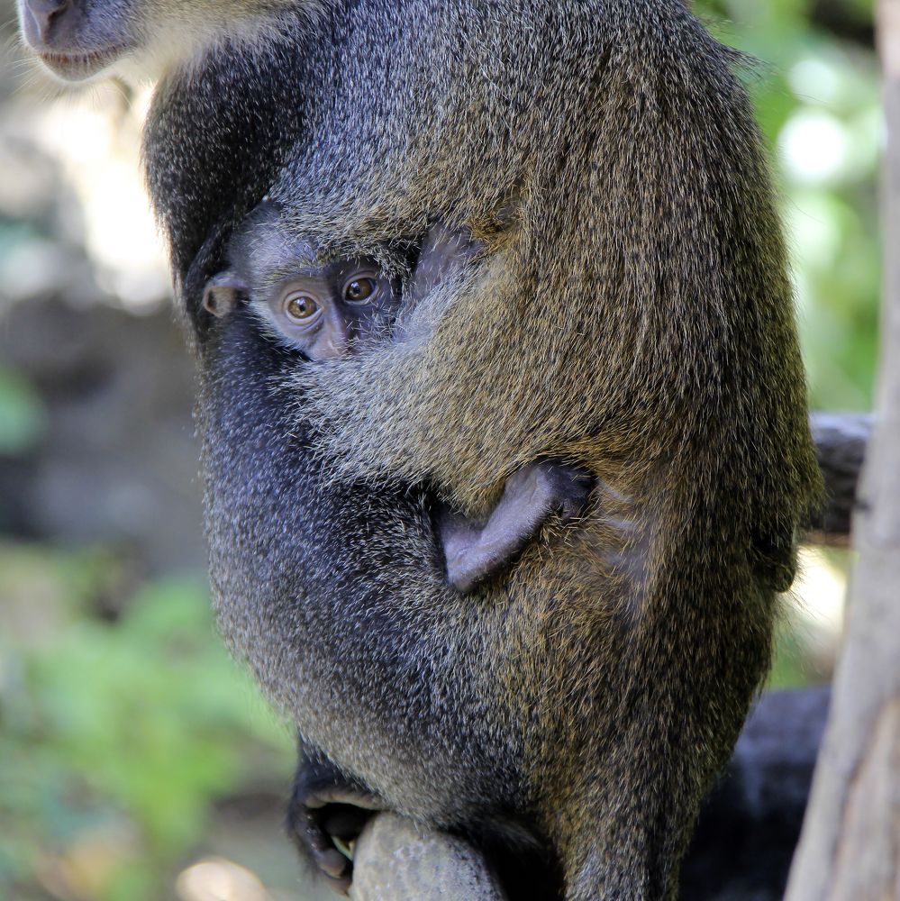 Photograph by Олег Банковский