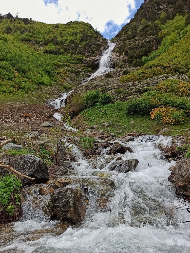 Photograph by Ирина Умиленко