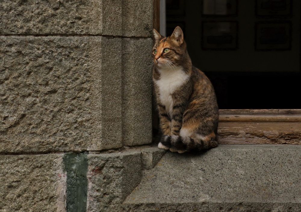 Соня, хранительница Воронцовского дворца.