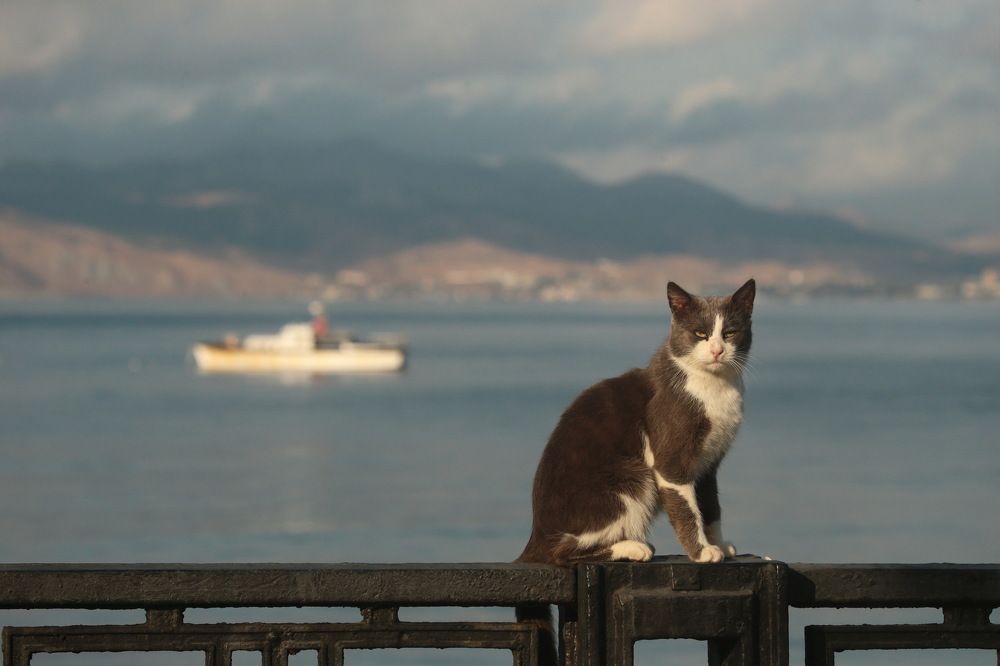 Фотосессия.