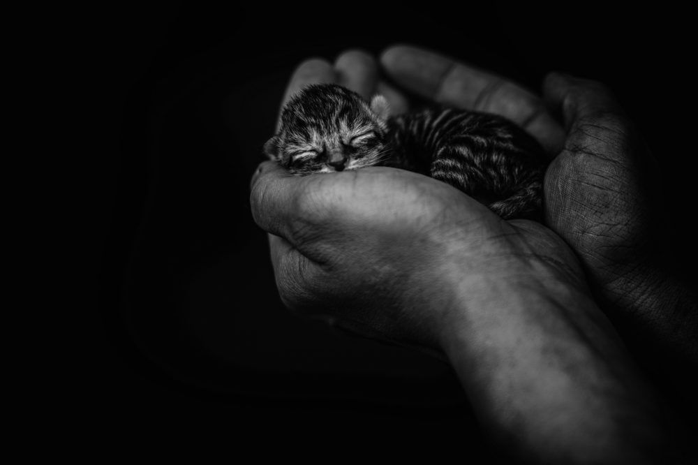 Photograph by Marc-Alain Ferragne