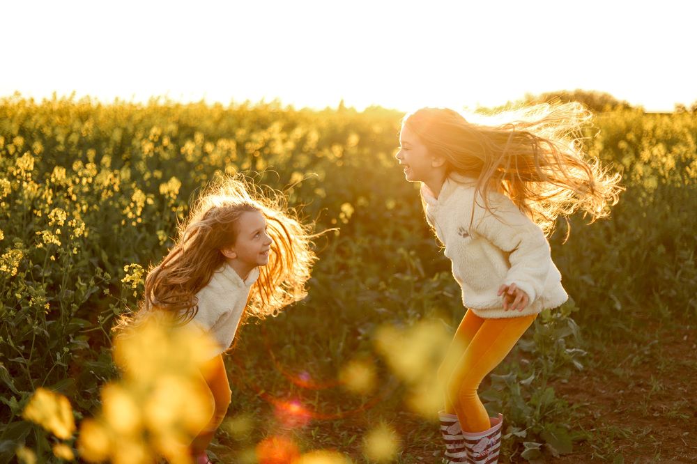 Закат в поле рапса