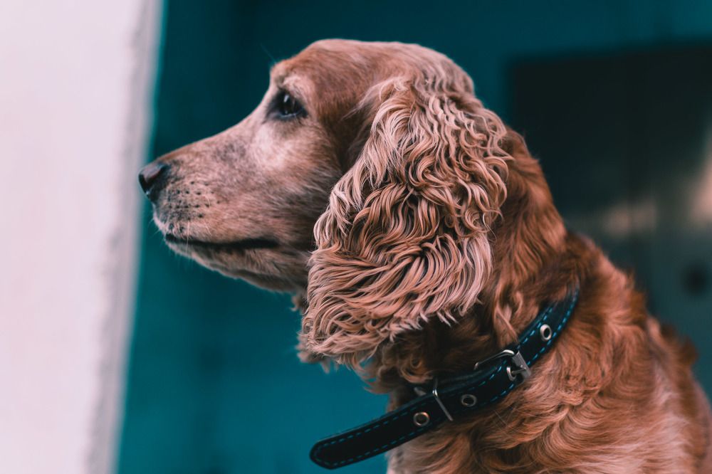 Photograph by Ярослав Акопян