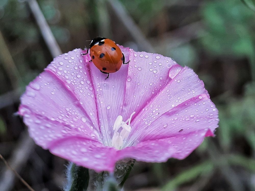 Photograph by seyyed mohammad andy