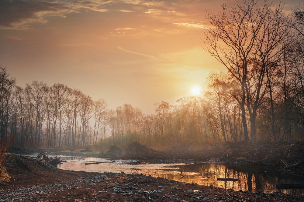 Photograph by Алена Литвин