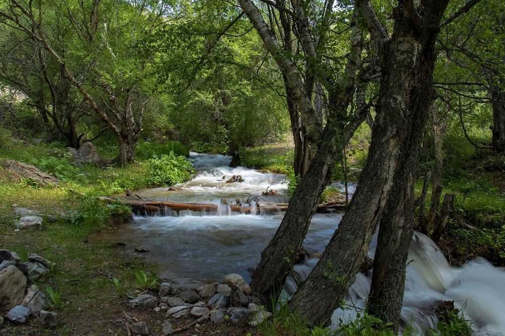 Photograph by Александр Грищенко