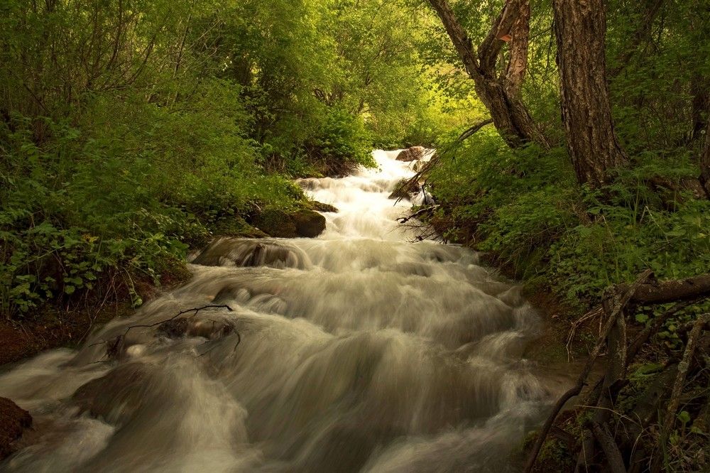 Photograph by Александр Грищенко