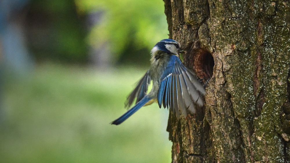 Photograph by Игорь Чернецкий
