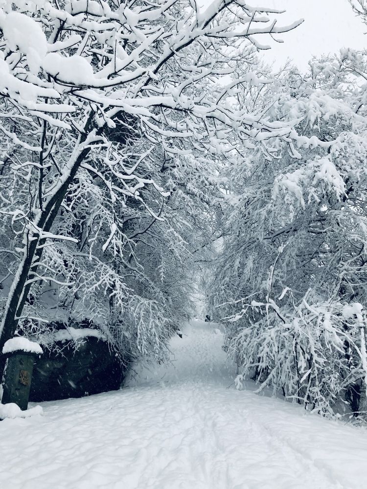 Photograph by Jesly Pulendran