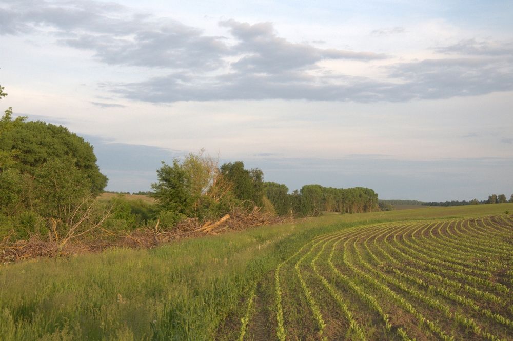 Photograph by Валерий Бурматов
