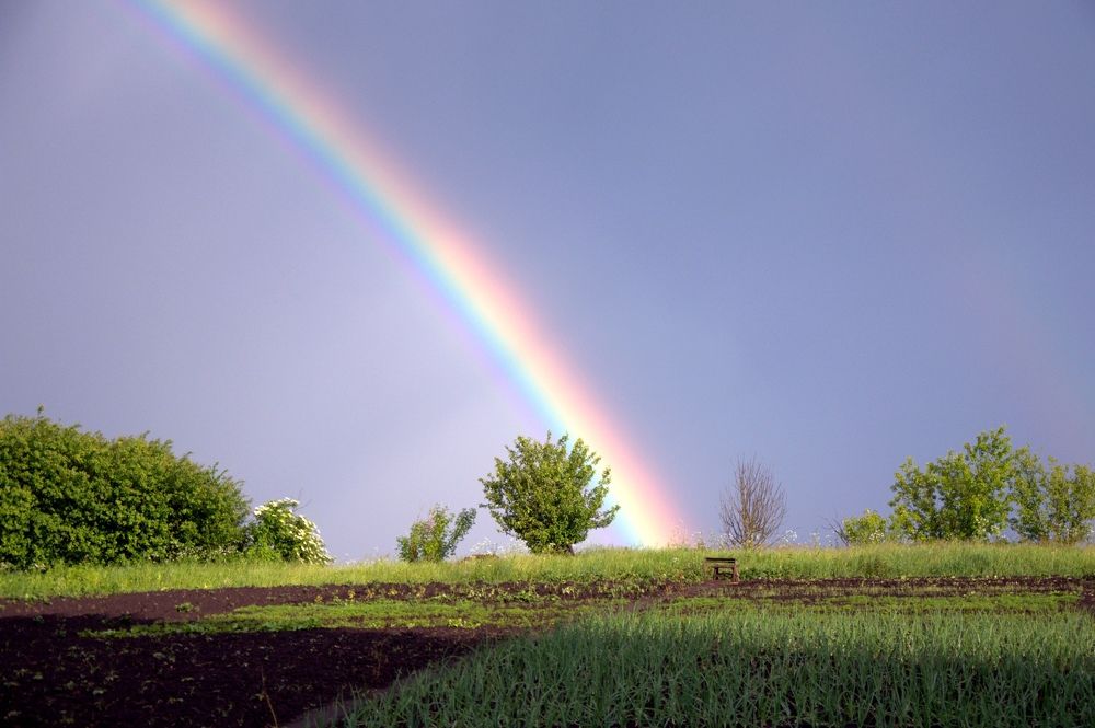 Photograph by Валерий Бурматов