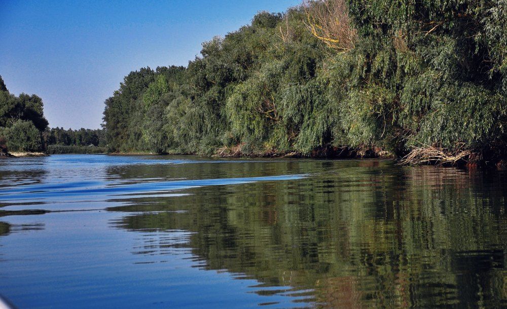 Photograph by Stoyan Baev